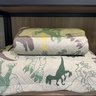 kit cobre leito casual kids dinossauro ambiente 2